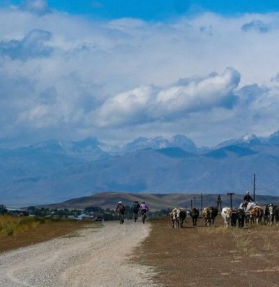 Sue Coffey Cycling on the  tour with redspokes